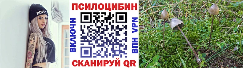 продажа наркотиков  omg ONION  даркнет клад  Осинники  Галлюциногенные грибы прущие грибы 