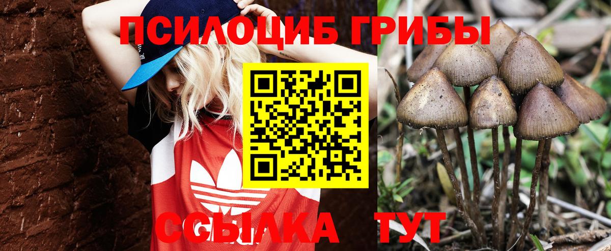 COCAIN  Осинники  Меф МЯУ МЯУ   Гашиш  Канабис  Вход с VPN  A PVP СК  