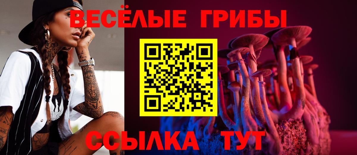 Псилоцибиновые грибы Psilocybe  Псилоцибиновые грибы ЛСД  Осинники  Вход с VPN 